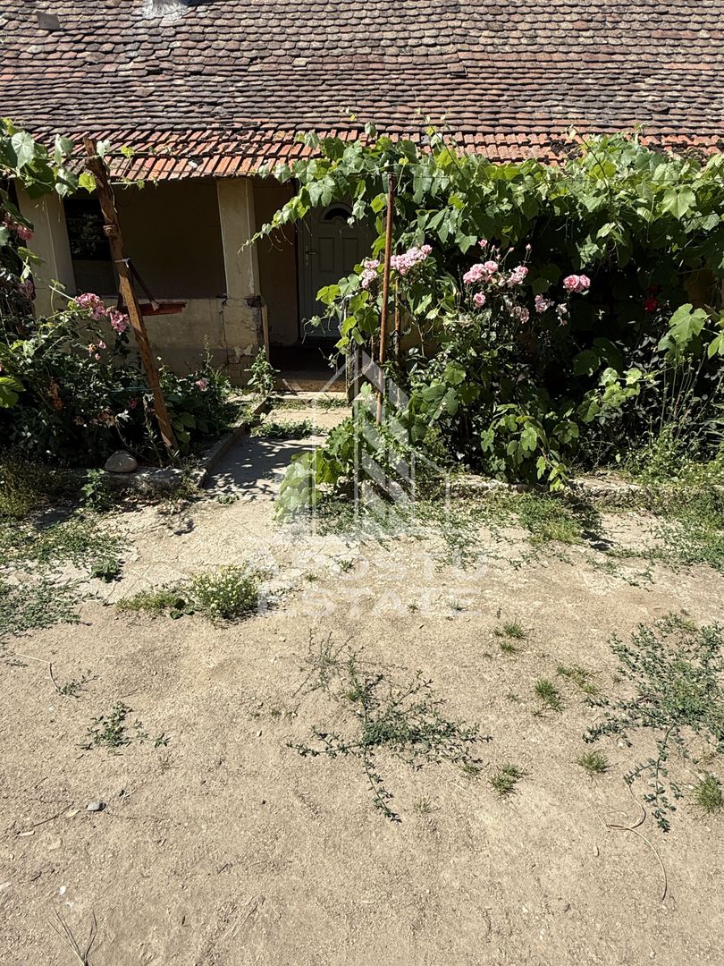 Casă veche în Bazos cu teren 1439 mp