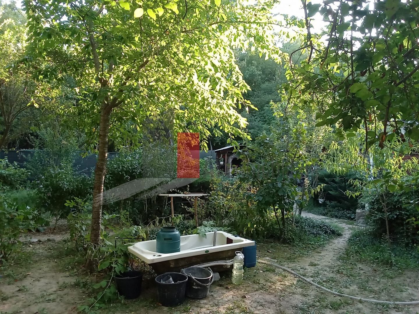 Vânzare teren intravilan Dărăști-Vlașca