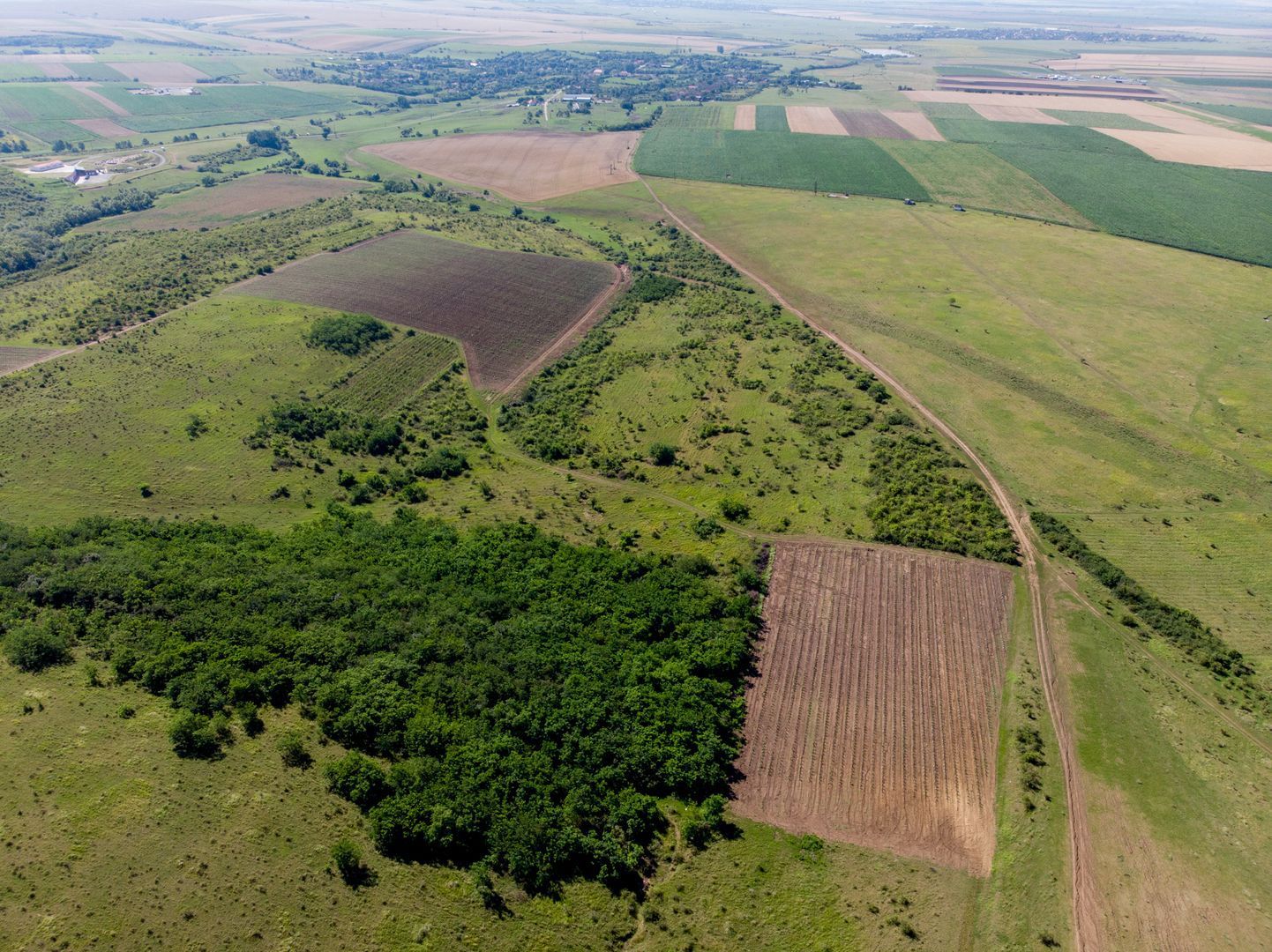 Teren arabil de 2009 hectare în Mureş