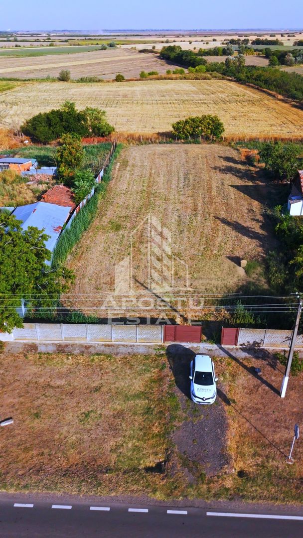 Teren intravilan de vanzare la Foeni, 13200 mp, front 24 m, Timis