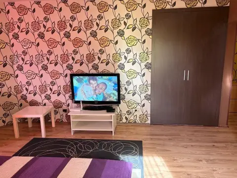 De inchiriat apartament cu o camera, Faleza, etaj 7/7, 300 euro