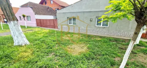 Vand casa recent renovata cu 900 mp curte si gradina in Carpinis