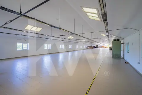 Hală industrială depozitare productie 826mp Sebeș