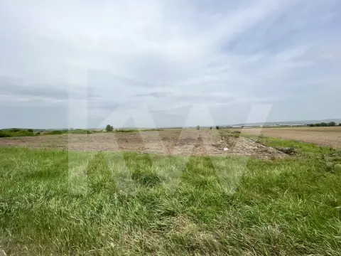 Teren 14.800 mp - PUZ Construcții - Zona Aeroport Sibiu