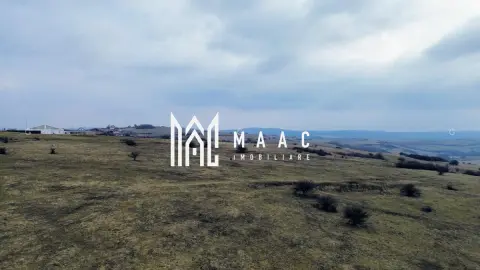 Teren 6,75 ha | Panoramă și Acces Excelent | Dealul Daii