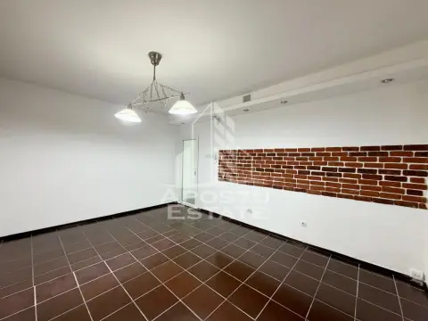 Apartament 2 camere de vanzare, zona Ultracentrala, Timisoara