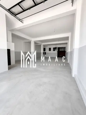 Hală industrială | 500 mp | Curte 600 mp | Zona Terezian