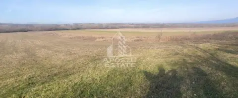 Teren mixt de 10.000 mp, ideal pentru investitie, Barsa