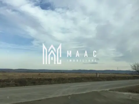 Teren 10.000 mp I Dezvoltare rezidențială I Calea Șurii Mici