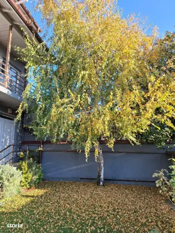 Casa cu mesteacan - DIRECT PROPRIETARI! - spectaculos toamna
