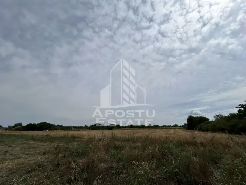 Parcela intravilan, vatra veche, 2248 mp, Parta Timis