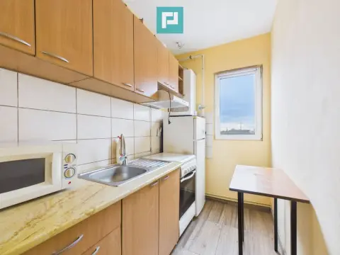 Apartament cu o cameră, Miron Costin