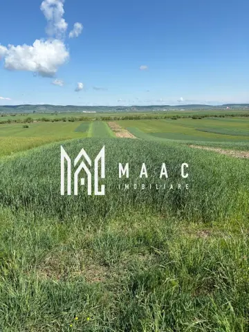 Teren extravilan 2393 mp | Gura Râului | acces, Carte Funciară
