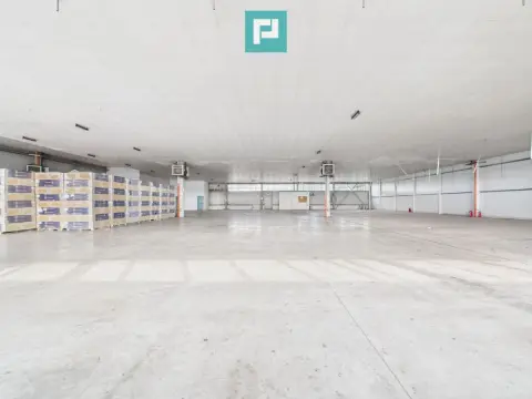 Spațiu depozitare 1.332 mp de închiriat în Ghiroda