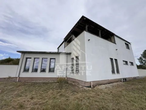 Vila deosebita cu piscina, familiala, investitie, business, Hunedoara