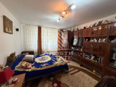 Apartament cu 3 camere de vanzare,decomandat , Zona Lipovei,Timisoara
