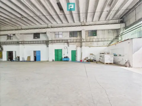 Complex industrial cu hale și teren în Orțișoara