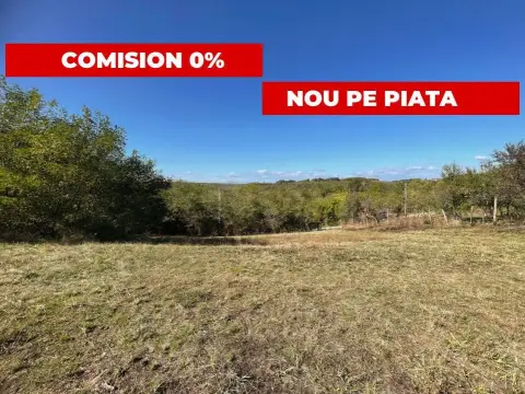 Teren generos Argeș Babana
