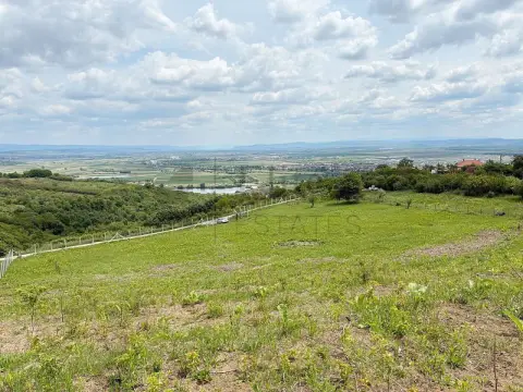 Teren 9461 mp cu panorama in Cartierul Podgoria din Oradea