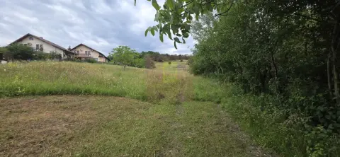 Teren de vanzare in Campina, Muscel