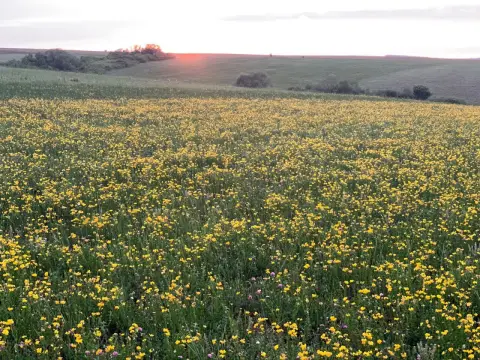 Teren arabil de 630 hectare în Galați