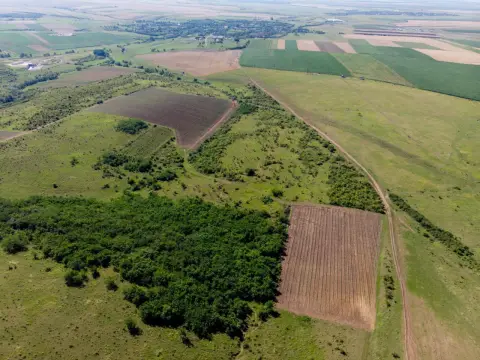 Teren arabil de 2009 hectare în Mureş
