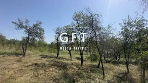 Teren zona toroc Dej