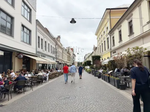 Spatiu Comercial Pietonala Vasile Alecsandri | 200 mp | Vitrina ampla