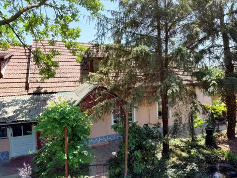 Casă de vanzare cu teren generos de 6.732 mp la E671 Leș, Bihor