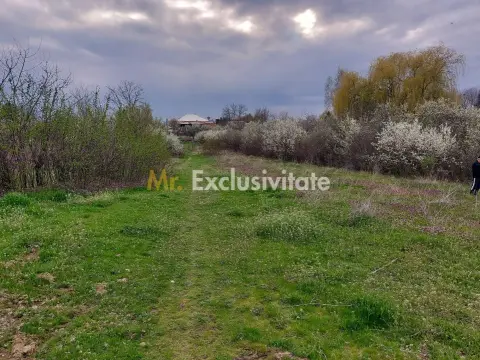 Teren Topoloveni - 3670 mp - langa padure, aproape de Centrul orasului