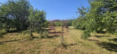 Teren intravilan de vanzare 3375 mp in Brebu