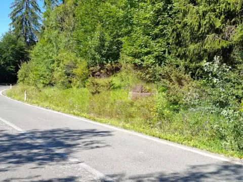 Teren de vânzare în zona Cota 1000 – Sinaia