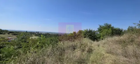 Teren intravilan 4.029 mp de vanzare, zona Crama Seciu