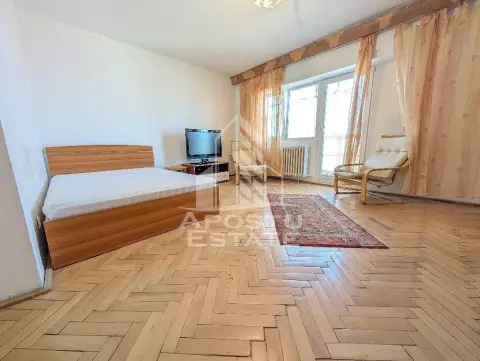 Apartament cu 1 camera de vanzare, in zona Stefan cel Mare, Timisoara