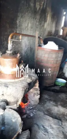 Casa I 60000 mp pamant I Cugir I Alba
