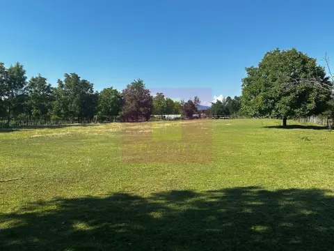 Teren intravilan 10.000 mp de vanzare in Campina
