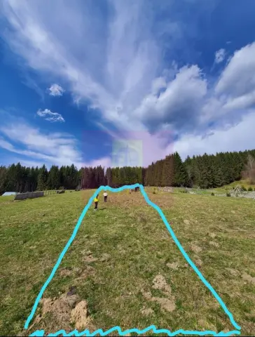 Teren intravilan 2500 mp in Valea Doftanei