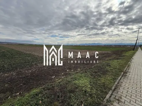 Teren intravilan | 9600 mp | Șură Mică | Utilități | Drum Asfaltat
