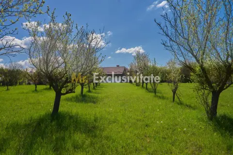Teren Campulung Muscel - Valea Mare Pravat - 9400 mp, utilitati