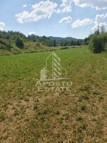 Teren intravilan de 2848mp, Tinutul Padurenilor, sat Negoiu, Hunedoara