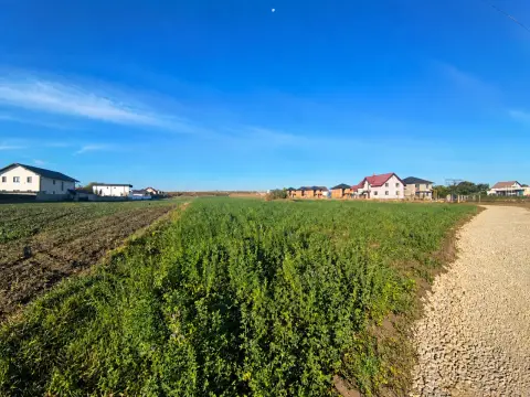 Teren intravilan 9.061 mp – Str. Humorului, Suceava