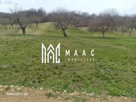 Teren 1400 mp | Valea Mărului | Parcelabil | Cabane / Retreat în natură