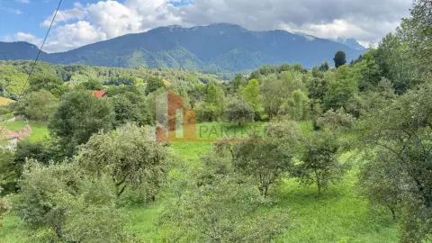 Teren intravilan 1.000 mp în Bran–Sohodol, vedere la munți Bucegi