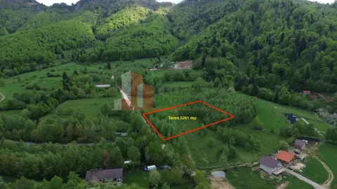 Teren intravilan 5.261 mp Tohănița | Deschidere 49 m | Utilități, lângă pădure