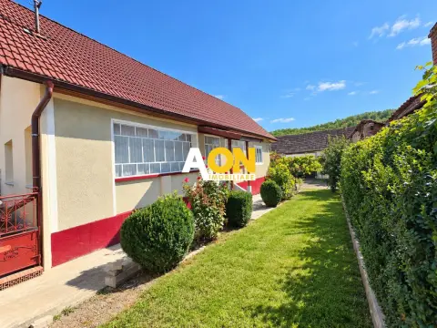 Casa traditionala, 3 camere, la asfalt, 1685 mp teren, Ciugud