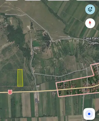 Teren de vanzare in Lugasu de Jos | 10.052 mp | Livada de pruni pe rod