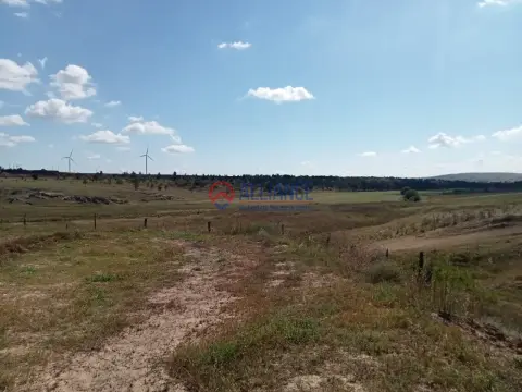 Teren intravilan 4.000 mp - Gradina, jud. Constanta