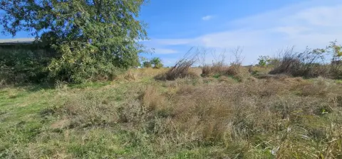 Teren intravilan 1.666 mp – Smârdan – Zonă în dezvoltare, 20 euro/mp