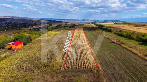 Teren extravilan arabil 5.000 mp, acces din două drumuri – Daia