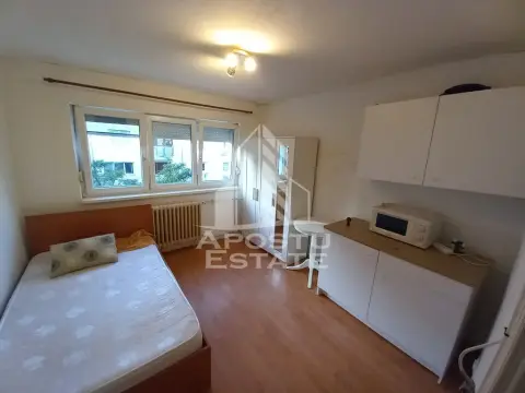Apartament cu 1 camera de vanzare, zona Buziasului, Timisoara